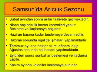 Samsun’da Arıcılık Sezonu
• Şubat ayından sonra arılar faaliyete geçmektedir.
• Nisan başında ilk kovan kontrolleri yapılır.
Besleme ve ilaçlamaya başlanır.
• Haziran başına kadar beslemeye devam edilir.
• Haziran sonunda oğul çalışmaları yapılmaktadır.
• Temmuz ayı ana nektar akımı dönemi olup
Ağustos sonunda bal hasadı yapılmaktadır.
• Eylül’den sonra sonbahar beslemesi ve ilaçlama
yapılır.
• Kasım ayında koloniler kışlamaya alınırlar.
 