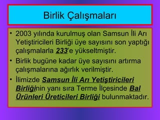 Birlik Çalışmaları
• 2003 yılında kurulmuş olan Samsun İli Arı
Yetiştiricileri Birliği üye sayısını son yaptığı
çalışmalarla 233’e yükseltmiştir.
• Birlik bugüne kadar üye sayısını artırma
çalışmalarına ağırlık verilmiştir.
• İlimizde Samsun İli Arı Yetiştiricileri
Birliğinin yanı sıra Terme İlçesinde Bal
Ürünleri Üreticileri Birliği bulunmaktadır.
 