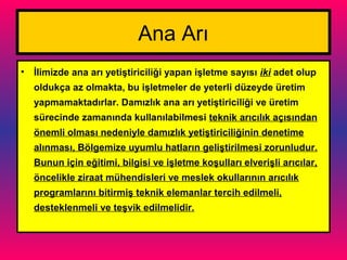 Ana Arı
• İlimizde ana arı yetiştiriciliği yapan işletme sayısı iki adet olup
oldukça az olmakta, bu işletmeler de yeterli düzeyde üretim
yapmamaktadırlar. Damızlık ana arı yetiştiriciliği ve üretim
sürecinde zamanında kullanılabilmesi teknik arıcılık açısından
önemli olması nedeniyle damızlık yetiştiriciliğinin denetime
alınması, Bölgemize uyumlu hatların geliştirilmesi zorunludur.
Bunun için eğitimi, bilgisi ve işletme koşulları elverişli arıcılar,
öncelikle ziraat mühendisleri ve meslek okullarının arıcılık
programlarını bitirmiş teknik elemanlar tercih edilmeli,
desteklenmeli ve teşvik edilmelidir.
 