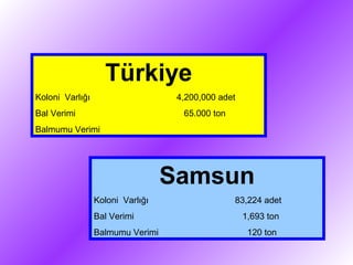 Türkiye
Koloni Varlığı 4,200,000 adet
Bal Verimi 65.000 ton
Balmumu Verimi
Samsun
Koloni Varlığı 83,224 adet
Bal Verimi 1,693 ton
Balmumu Verimi 120 ton
 