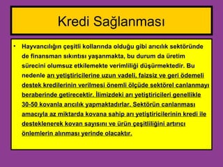 Kredi Sağlanması
• Hayvancılığın çeşitli kollarında olduğu gibi arıcılık sektöründe
de finansman sıkıntısı yaşanmakta, bu durum da üretim
sürecini olumsuz etkilemekte verimliliği düşürmektedir. Bu
nedenle arı yetiştiricilerine uzun vadeli, faizsiz ve geri ödemeli
destek kredilerinin verilmesi önemli ölçüde sektörel canlanmayı
beraberinde getirecektir. İlimizdeki arı yetiştiricileri genellikle
30-50 kovanla arıcılık yapmaktadırlar. Sektörün canlanması
amacıyla az miktarda kovana sahip arı yetiştiricilerinin kredi ile
desteklenerek kovan sayısını ve ürün çeşitliliğini artırıcı
önlemlerin alınması yerinde olacaktır.
 