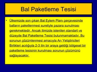 Bal Paketleme Tesisi
• Ülkemizde son çıkan Bal Eylem Planı çerçevesinde
balların paketlenmesi suretiyle pazara sunulması
gerekmektedir. Ancak ilimizde istenilen standart ve
düzeyde Bal Paketleme Tesisi bulunmamaktadır. Bu
sorunun çözümlenmesi amacıyla Arı Yetiştiricileri
Birlikleri acılığıyla 2-3 ilin bir araya geldiği bölgesel bir
paketleme tesisinin kurulması sorunun çözümünü
sağlayacaktır.
 