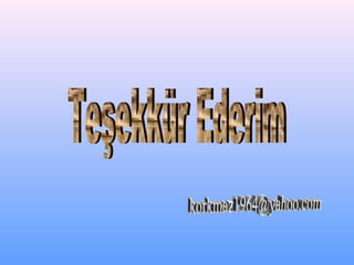 25 samsun arıcılığı