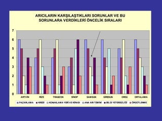 ARICILARIN KARŞILAŞTIKLARI SORUNLAR VE BU
SORUNLARA VERDİKLERİ ÖNCELİK SIRALARI
0
1
2
3
4
5
6
7
ARTVİN RİZE TRABZON SİNOP SAMSUN GİRESUN ORDU ORTALAMA
PAZARLAMA KREDİ KONAKLAMA YERİ VE KİRASI ANA ARI TEMİNİ BİLGİ YETERSİZLİĞİ ÖRGÜTLENME
 