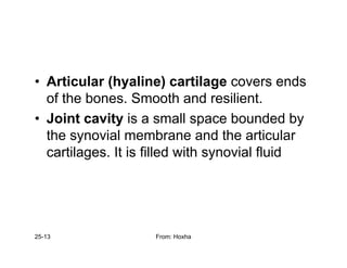• Articular (hyaline) cartilage covers ends
Articular (hyaline) cartilage covers ends
of the bones. Smooth and resilient.
• Joint cavity is a small space bounded by
• Joint cavity is a small space bounded by
the synovial membrane and the articular
cartilages It is filled with synovial fluid
cartilages. It is filled with synovial fluid
25-13 From: Hoxha
 