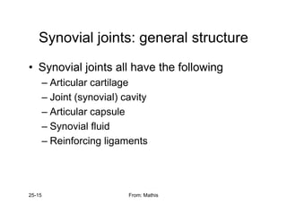 Synovial joints: general structure
Synovial joints: general structure
• Synovial joints all have the following
Synovial joints all have the following
– Articular cartilage
Joint (synovial) cavity
– Joint (synovial) cavity
– Articular capsule
Synovial fluid
– Synovial fluid
– Reinforcing ligaments
25-15 From: Mathis
 