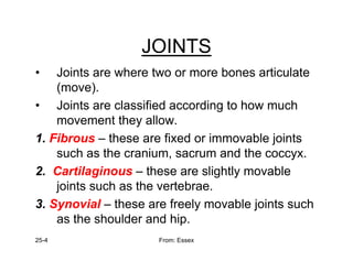 JOINTS
JOINTS
• Joints are where two or more bones articulate
( )
(move).
• Joints are classified according to how much
movement they allow
movement they allow.
1. Fibrous – these are fixed or immovable joints
such as the cranium sacrum and the coccyx
such as the cranium, sacrum and the coccyx.
2. Cartilaginous – these are slightly movable
joints such as the vertebrae
joints such as the vertebrae.
3. Synovial – these are freely movable joints such
as the shoulder and hip
25-4 From: Essex
as the shoulder and hip.
 