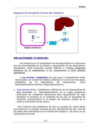 R.Silva
Esquema de transporte inverso del colesterol
RELACIONES CLINICAS:
Los trastornos en el metabolismo de las lipoprot...