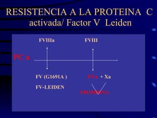 RESISTENCIA A LA PROTEINA  C  activada/ Factor V  Leiden <ul><li>FVIIIa  FVIII  </li></ul><ul><li>PC  a </li></ul><ul><li>...