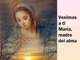 Venimos
a ti
María,
madre
del alma
 