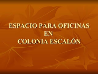 ESPACIO PARA OFICINAS EN  COLONIA ESCALÓN 