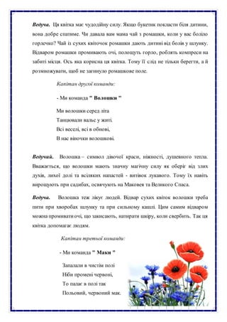 Ведуча. Ця квітка має чудодійну силу. Якщо букетик покласти біля дитини,
вона добре спатиме. Чи давала вам мама чай з ромашки, коли у вас боліло
горлечко? Чай із сухих квіточок ромашки дають дитині від болів у шлунку.
Відваром ромашки промивають очі, полощуть горло, роблять компреси на
забиті місця. Ось яка корисна ця квітка. Тому її слід не тільки берегти, а й
розмножувати, щоб не загинуло ромашкове поле.
Капітан другої команди:
- Ми команда " Волошки "
Ми волошки серед літа
Танцювали вальс у житі.
Всі веселі, всі в обнові,
В нас віночки волошкові.
Ведучий. Волошка – символ дівочої краси, ніжності, душевного тепла.
Вважається, що волошки мають значну магічну силу як оберіг від злих
духів, лихої долі та всіляких напастей - витівок лукавого. Тому їх навіть
вирощують при садибах, освячують на Маковея та Великого Спаса.
Ведуча. Волошка теж лікує людей. Відвар сухих квіток волошки треба
пити при хворобах шлунку та при сильному кашлі. Цим самим відваром
можна промиватиочі, що закисають, натирати шкіру, коли свербить. Так ця
квітка допомагає людям.
Капітан третьої команди:
- Ми команда " Маки "
Запалали в чистім полі
Ніби промені червоні,
То палає в полі так
Польовий, червоний мак.
 