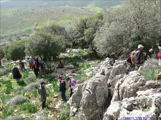 יורדים מהר השאבי   