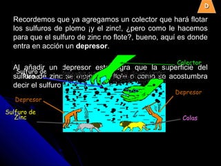 Recordemos que ya agregamos un colector que hará flotarRecordemos que ya agregamos un colector que hará flotar
los sulfuros de plomo ¡y el zinc!, ¿pero como le hacemoslos sulfuros de plomo ¡y el zinc!, ¿pero como le hacemos
para que el sulfuro de zinc no flote?, bueno, aquí es dondepara que el sulfuro de zinc no flote?, bueno, aquí es donde
entra en acción unentra en acción un depresordepresor..
Al añadir un depresor este logra que la superficie delAl añadir un depresor este logra que la superficie del
sulfuro de zinc se moje y no flote o como se acostumbrasulfuro de zinc se moje y no flote o como se acostumbra
decir el sulfuro de zinc se “deprime”.decir el sulfuro de zinc se “deprime”.
DD
Sulfuro de
Zinc
Sulfuro de
Plomo
Colas
Depresor
Depresor
Colector
 