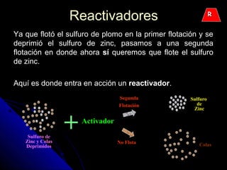 ReactivadoresReactivadores
Ya que flotó el sulfuro de plomo en la primer flotación y seYa que flotó el sulfuro de plomo en la primer flotación y se
deprimió el sulfuro de zinc, pasamos a una segundadeprimió el sulfuro de zinc, pasamos a una segunda
flotación en donde ahoraflotación en donde ahora sísí queremos que flote el sulfuroqueremos que flote el sulfuro
de zinc.de zinc.
Aquí es donde entra en acción unAquí es donde entra en acción un reactivadorreactivador..
Sulfuro
de
Zinc
Sulfuro de
Zinc y Colas
Deprimidos Colas
Segunda
Flotación
No Flota
Activador
+
RR
 