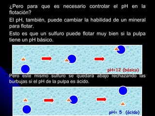 ¿Pero para que es necesario controlar el pH en la¿Pero para que es necesario controlar el pH en la
flotación?flotación?
El pH, también, puede cambiar la habilidad de un mineralEl pH, también, puede cambiar la habilidad de un mineral
para flotar.para flotar.
Esto es que un sulfuro puede flotar muy bien si la pulpaEsto es que un sulfuro puede flotar muy bien si la pulpa
tiene un pH básico.tiene un pH básico.
Pero este mismo sulfuro se quedará abajo rechazando lasPero este mismo sulfuro se quedará abajo rechazando las
burbujas si el pH de la pulpa es ácido.burbujas si el pH de la pulpa es ácido.
pH=12 (básico)
pH= 5 (ácido)
 
