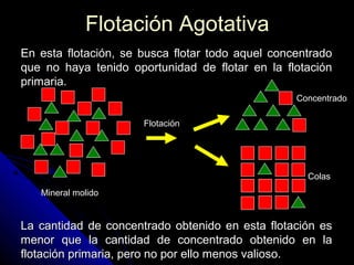 Flotación AgotativaFlotación Agotativa
En esta flotación, se busca flotar todo aquel concentradoEn esta flotación, se busca flotar todo aquel concentrado
que no haya tenido oportunidad de flotar en la flotaciónque no haya tenido oportunidad de flotar en la flotación
primaria.primaria.
La cantidad de concentrado obtenido en esta flotación esLa cantidad de concentrado obtenido en esta flotación es
menor que la cantidad de concentrado obtenido en lamenor que la cantidad de concentrado obtenido en la
flotación primaria, pero no por ello menos valioso.flotación primaria, pero no por ello menos valioso.
Mineral molido
Concentrado
Colas
Flotación
 