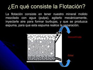 ¿En qué consiste la Flotación?¿En qué consiste la Flotación?
La flotación consiste en tener nuestro mineral molidoLa flotación consiste en tener nuestro mineral molido
mezclado con agua (pulpa), agitarlo mecánicamente,mezclado con agua (pulpa), agitarlo mecánicamente,
inyectarle aire para formar burbujas, y que se produzcainyectarle aire para formar burbujas, y que se produzca
espuma, para que esta espuma realice la separación.espuma, para que esta espuma realice la separación.
Concentrado
Colas
Colas
 