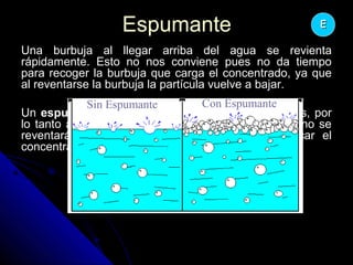 EspumanteEspumante
Una burbuja al llegar arriba del agua se revientaUna burbuja al llegar arriba del agua se revienta
rápidamente. Esto no nos conviene pues no da tiemporápidamente. Esto no nos conviene pues no da tiempo
para recoger la burbuja que carga el concentrado, ya quepara recoger la burbuja que carga el concentrado, ya que
al reventarse la burbuja la partícula vuelve a bajar.al reventarse la burbuja la partícula vuelve a bajar.
UnUn espumanteespumante hace a las burbujas más resistentes, porhace a las burbujas más resistentes, por
lo tanto al llegar esta “superburbuja” a la superficie no selo tanto al llegar esta “superburbuja” a la superficie no se
reventará y se tendrá tiempo suficiente para sacar elreventará y se tendrá tiempo suficiente para sacar el
concentrado que trae pegado alrededor.concentrado que trae pegado alrededor.
EE
Sin Espumante Con Espumante
 