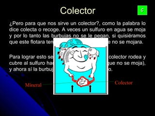 ColectorColector
¿Pero para que nos sirve un colector?, como la palabra lo¿Pero para que nos sirve un colector?, como la palabra lo
dice colecta o recoge. A veces un sulfuro en agua se mojadice colecta o recoge. A veces un sulfuro en agua se moja
y por lo tanto las burbujas no se le pegan, si quisiéramosy por lo tanto las burbujas no se le pegan, si quisiéramos
que este flotara tendríamos que hacerlo que no se mojara.que este flotara tendríamos que hacerlo que no se mojara.
Para lograr esto se agrega unPara lograr esto se agrega un colectorcolector, el colector rodea y, el colector rodea y
cubre al sulfuro haciéndolo impermeable (que no se moja),cubre al sulfuro haciéndolo impermeable (que no se moja),
y ahora sí la burbuja puede tomarlo y subirlo.y ahora sí la burbuja puede tomarlo y subirlo.
CC
ColectorMineral
 