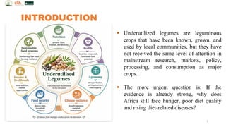 INTRODUCTION
3
▪ Underutilized legumes are leguminous
crops that have been known, grown, and
used by local communities, but they have
not received the same level of attention in
mainstream research, markets, policy,
processing, and consumption as major
crops.
▪ The more urgent question is: If the
evidence is already strong, why does
Africa still face hunger, poor diet quality
and rising diet-related diseases?
 