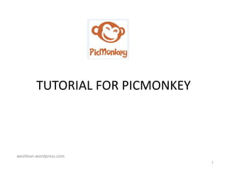 The Color Picker Explained  PicMonkey Help and Support