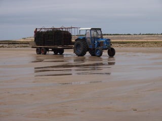 Ile de Re, Ars de Re