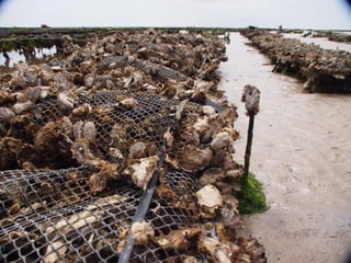 Ile de Re, Ars de Re