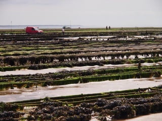 Ile de Re, Ars de Re