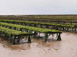 Ile de Re, Ars de Re