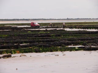 Ile de Re, Ars de Re