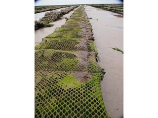 Ile de Re, Ars de Re