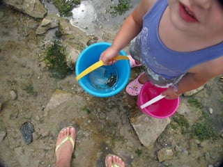 Ile de Re, Ars de Re