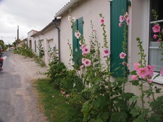 Ile de Re, Ars de Re