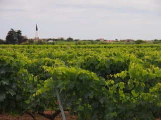 Ile de Re, Ars de Re