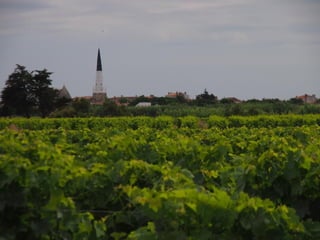 Ile de Re, Ars de Re