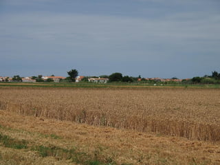 Ile de Re, Ars de Re