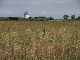 Ile de Re, Ars de Re