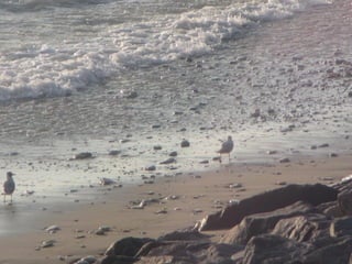 Ile de Re, Ars de Re