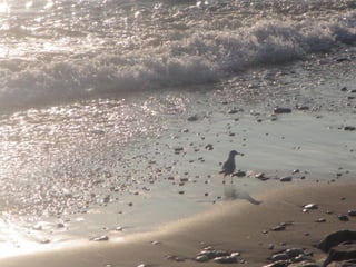 Ile de Re, Ars de Re