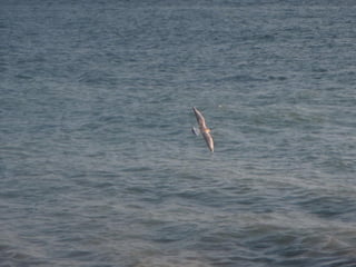 Ile de Re, Ars de Re