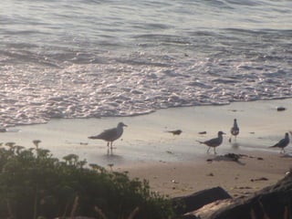 Ile de Re, Ars de Re