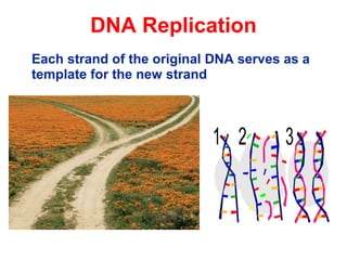 Presentation on introduction to Genetics | PPT