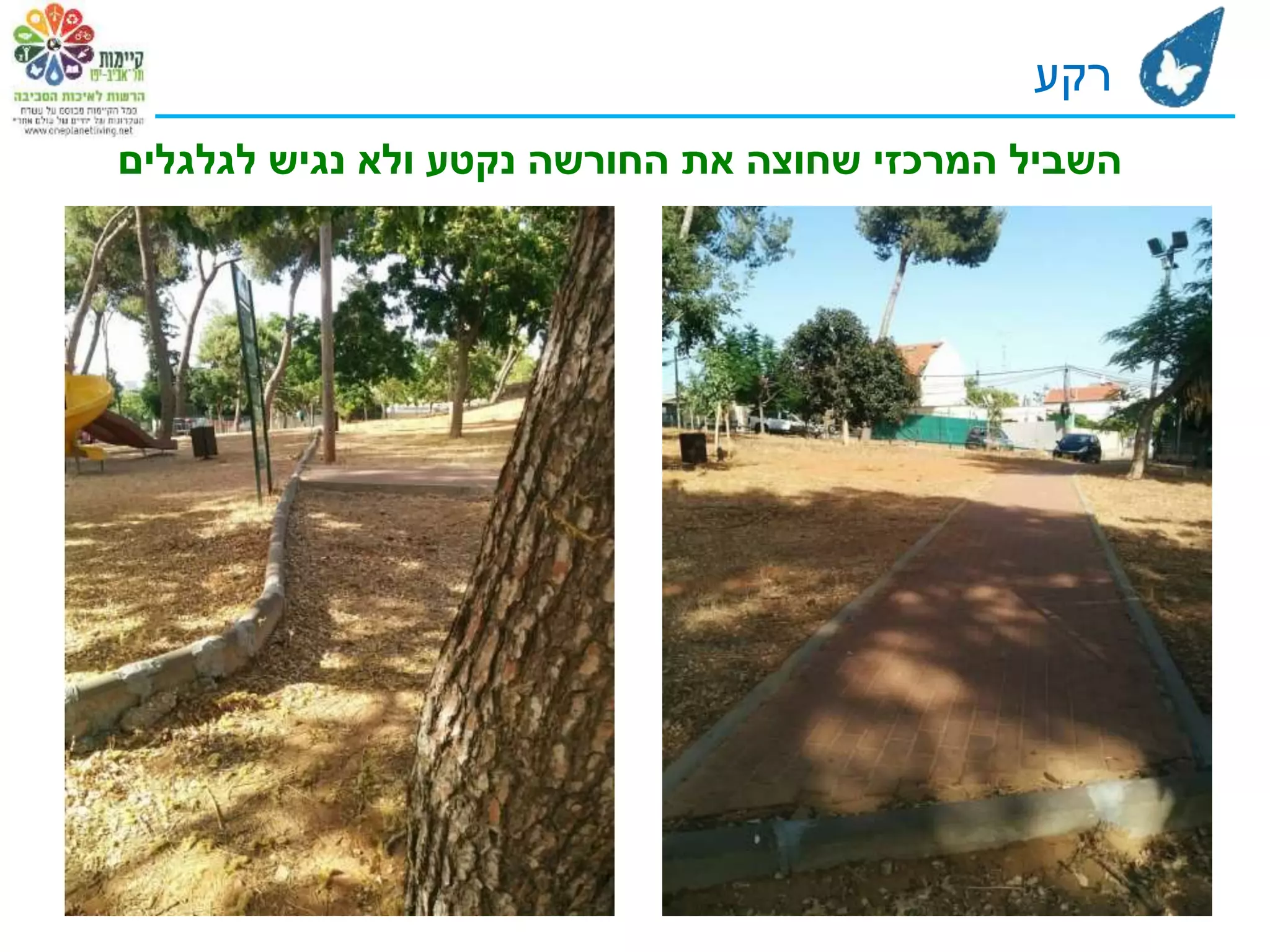 ‫לגלגלים‬ ‫נגיש‬ ‫ולא‬ ‫נקטע‬ ‫החורשה‬ ‫את‬ ‫שחוצה‬ ‫המרכזי‬ ‫השביל‬
‫רקע‬
 