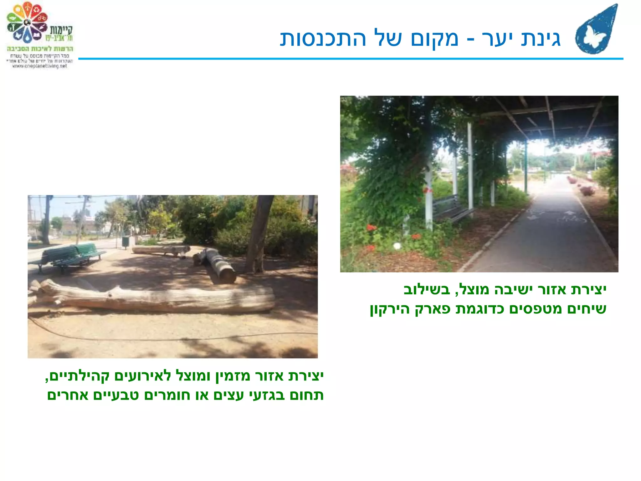 ‫יצירת‬‫ומוצל‬ ‫מזמין‬ ‫אזור‬‫לאירועים‬‫קהילתיים‬,
‫עצים‬ ‫בגזעי‬ ‫תחום‬‫או‬‫אחרים‬ ‫טבעיים‬ ‫חומרים‬
‫מוצל‬ ‫ישיבה‬ ‫אזור‬ ‫יצירת‬,‫בשילוב‬
‫הירקון‬ ‫פארק‬ ‫כדוגמת‬ ‫מטפסים‬ ‫שיחים‬
‫יער‬ ‫גינת‬-‫התכנסות‬ ‫של‬ ‫מקום‬
 