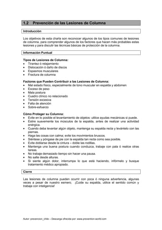 Autor: prevencion_chile – Descarga ofrecida por: www.prevention-world.com
1.2 Prevención de las Lesiones de Columna
Introd...