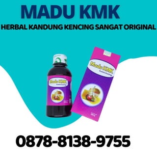 AHLINYA, Tlp 0878-8138-9755 Herbal Kandung Kencing Sangat Original