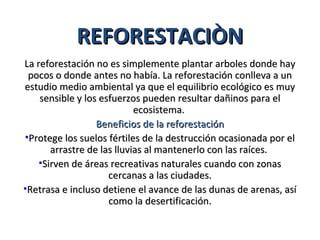 REFORESTACIÒN
La reforestación no es simplemente plantar arboles donde hay
 pocos o donde antes no había. La reforestación conlleva a un
estudio medio ambiental ya que el equilibrio ecológico es muy
    sensible y los esfuerzos pueden resultar dañinos para el
                            ecosistema.
                  Beneficios de la reforestación
•Protege los suelos fértiles de la destrucción ocasionada por el
       arrastre de las lluvias al mantenerlo con las raíces.
    •Sirven de áreas recreativas naturales cuando con zonas
                     cercanas a las ciudades.
•Retrasa e incluso detiene el avance de las dunas de arenas, así
                     como la desertificación.
 