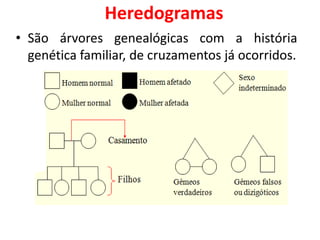 Heredogramas
• São árvores genealógicas com a história
genética familiar, de cruzamentos já ocorridos.
 