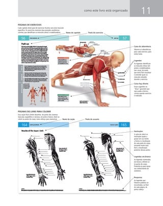 11como este livro está organizado
Ilustrações
A ação de colorir as
ilustrações ajuda a
gravar em sua mente
a forma e a localização
de cada parte do corpo,
tornando muito mais
fácil a visualização
posterior dessas partes.
Legendas em branco
As legendas numeradas,
em branco, referem-se
às partes do corpo.
Preencha-as para testar
seu conhecimento de
anatomia.
Respostas
As legendas que
faltarem poderão ser
encontradas, ao ﬁnal
de cada página, de
ponta-cabeça.
PÁGINAS DE EXERCÍCIOS
Cada capítulo deste guia de exercícios focaliza uma área muscular
especíﬁca. Os exercícios mostram duas posições anatômicas
corretas, que identiﬁcam os músculos ativos e estabilizadores.
PÁGINAS DO LIVRO PARA COLORIR
Esta seção ﬁnal contém desenhos de partes dos sistemas
muscular, esquelético e nervoso, em preto e branco. Deve-se
colorir as partes do corpo, como reforço, para memorizar.
Caixa de advertência
Observe as advertências
para cada exercício, para
evitar lesão.
Legendas
As legendas identiﬁcam
os músculos ativos (em
preto) e estabilizadores
(em cinza), de modo
que torna fácil visualizar
e entender quais os
músculos ativados
durante o exercício.
Caixa faça direito
Essas sugestões ou
“dicas” garantem que
seja usada a técnica
correta quando exercício
é realizado.
Nome do capítulo
Nome da seção Título do assunto
Título do exercício
 